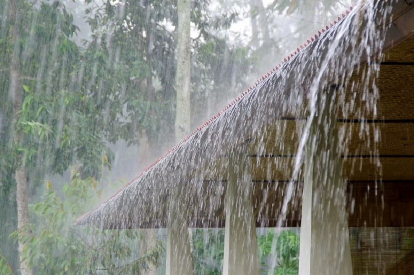 যখন টানা বৃষ্টি হচ্ছে, থামছেই না তখন বলবো, ইটস রেইনিং ক্যাটস অ্যান্ড ডগস (it's raining cats and dogs)! বাক্য গঠনে বলবো যেমন, মাই হেয়ার ইজ কমপ্লিটলি ওয়েট বিকজ ইটস রেইনিং ক্যাটস অ্যান্ড ডগস আউটসাইড! মুষলধারে বৃষ্টি বোঝাতে ব্যবহার হবে! photo source collected 