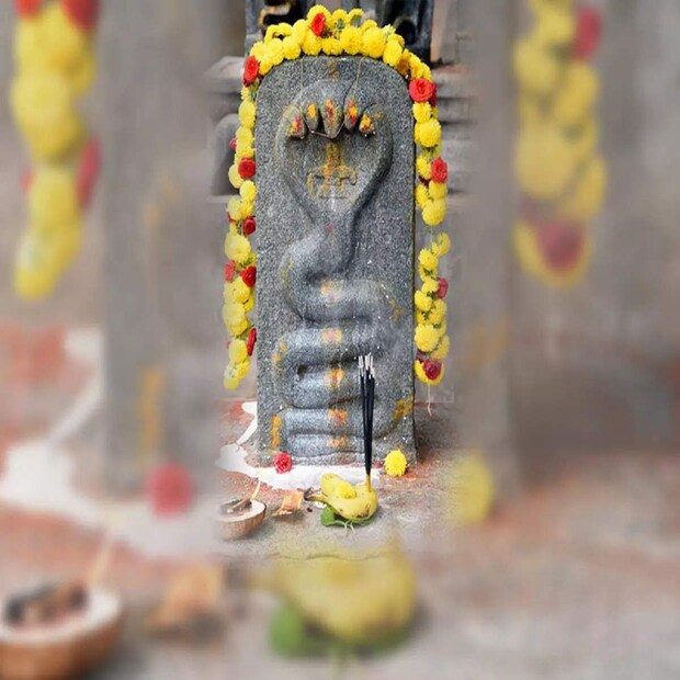 নাগ পঞ্চমীতে লোহার কড়াই ও প্যানে খাবার রান্না করবেন না। বিশ্বাস অনুসারে, রুটি তৈরির জন্য ব্যবহৃত লোহার চাটুকে সাপের ফণা বলে মনে করা হয়। (Disclaimer: এই প্রতিবেদনটি কেবলমাত্র সাধারণ তথ্যের জন্য, তাই বিস্তারিত জানতে হলে সর্বদা বিশেষজ্ঞের পরামর্শ নিন।)