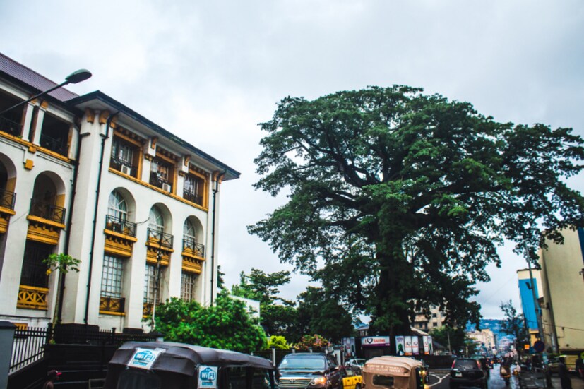 ভৌগলিক ও সাংস্কৃতিক যোগাযোগ না থাকলেও সিয়েরা লিওনে পাঁচ হাজারের বেশি বাংলাদেশি সেনা মোতায়েন ছিল। তারা শান্তি-শৃঙ্খলা ও উন্নয়নে ব্যাপক ভূমিকা রেখেছিল ওদেশে। সেই অবদানের স্বীকৃতি স্বরূপ বাংলাকে সরকারি ভাষার স্বীকৃতি দিয়েছিল আফ্রিকার দেশটি।