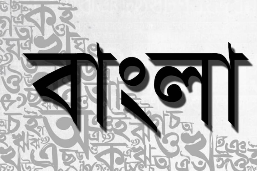 বাঙালি হওয়ায় আমরা সকলেই গর্ব বোধ করি। গর্ব করি বাংলা ভাষা নিয়েও। বাংলাদেশের সরকারি ভাষাও বাংলা। ভারতেরও সরকারি ভাষাগুলির মধ্যে অন্যতম বাংলা। 