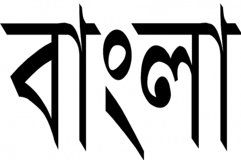 বাংলাদেশ, ভারতের সঙ্গে সিয়েরা লিওনেও বাংলা স্বীকৃতি পায় সরকারি ভাষার। বাংলার বিশ্বায়ন হয়। প্রথম ভাষা হিসেবে বাংলাকে স্বীকৃতি দিয়ে সেই দেশ এপার বাংলা-ওপার বাংলা, দুই বাংলাকেই গৌরবান্বিত করে।