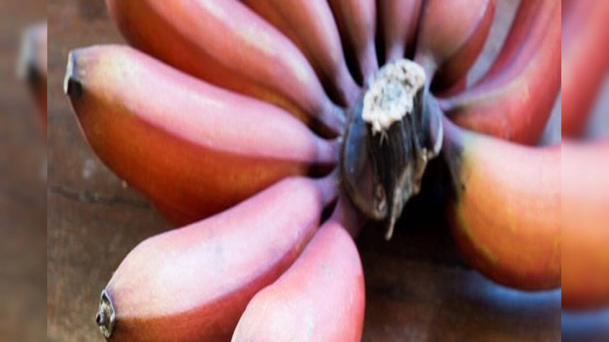 Red Banana Health Benefits পায়ের ব্যথায় কাবু? হলুদসবুজ কলা ছেড়ে লাল
