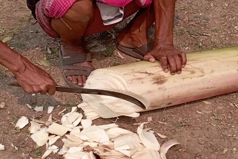 *শরীরকে ভেতর থেকে পরিষ্কার করার জন্য থোড়ের রস খুব উপযোগী। থোরের রস হজমের অত্যন্ত সহায়ক।