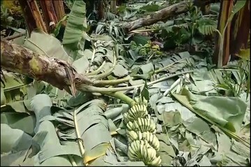 যত