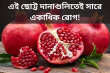 কোলেস্টেরল থেকে ডায়াবেটিস, এই ছোট্ট দানাগুলিতেই সারে একাধিক রোগ!