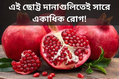 কোলেস্টেরল থেকে ডায়াবেটিস, এই ছোট্ট দানাগুলিতেই সারে একাধিক রোগ!