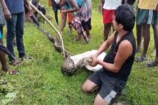 অজগর উদ্ধার