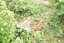 মাটির তলায় এক ড্রাম বোমা, একি কাণ্ড বগটুইয়ে!