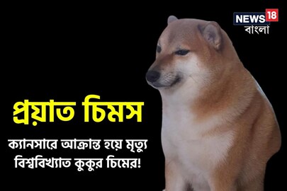 প্রয়াত চিমস