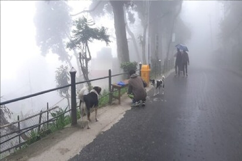 *মৌসুমী অক্ষরেখা অমৃতসর, কারনাল, শাহজাহানপুর, কানপুর এবং ছত্রিশগড়ের নিম্নচাপ এলাকার মধ্যে দিয়ে জামশেদপুর, বালাসোর হয়ে পূর্ব দিকে এগিয়ে উত্তর-পূর্ব বঙ্গোপসাগর পর্যন্ত বিস্তৃত। ফাইল ছবি। 