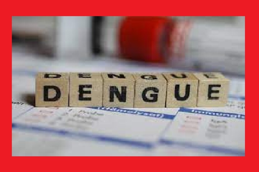 বর্ষাকালে ডেঙ্গি ও ম্যালেরিয়ায় লক্ষ-লক্ষ মানুষ সংক্রমিত হয় এবং ডেঙ্গির থেকে মৃত্যু পর্যন্ত ঘটে। অতএব, বহু বছর ধরে সিরাম ইনস্টিটিউটের বিজ্ঞানীরা এই রোগগুলির বিরুদ্ধে লড়াই করার জন্য একটি ভ্যাকসিন খুঁজে বের করার চেষ্টা করছিলেন।