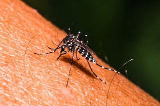 ফের শহরে ডেঙ্গি আক্রান্তের মৃত্য়ু