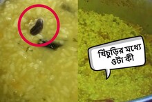 খিঁচুড়ির মধ্যে ওটা আবার কী ভাসছে! একটু খেতে গিয়েই যা কাণ্ড হল বীরভূমে