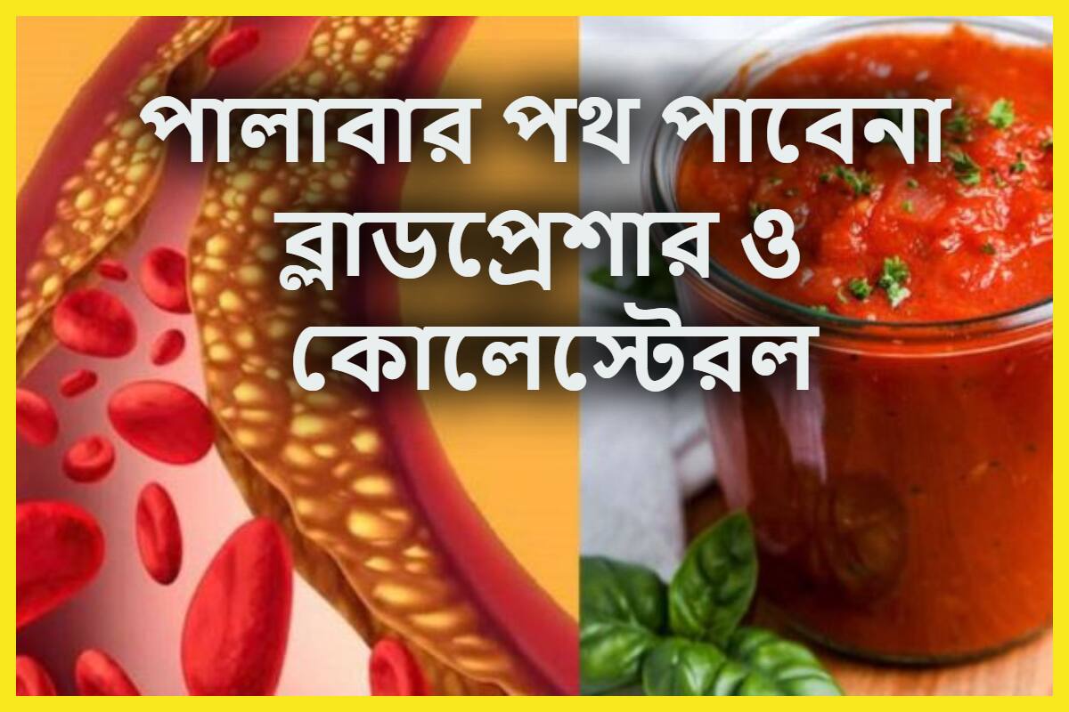 High Blood Pressure, High Cholesterol Control Tips কোলেস্টেরল ও