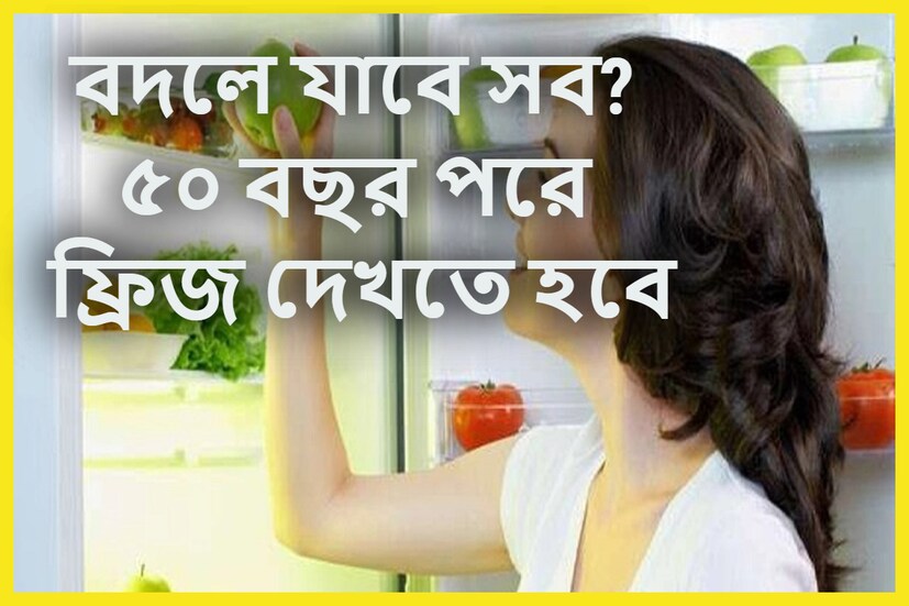 আজ থেকে ৫০ বছর পরে বাজারে যেই ফ্রিজ থাকবে সেই ফ্রিজের ছবি কেমন হতে পারে হয়তো এই খবর কখনও ভাবাতে পারে আবার কখনও ভাবায়না ৷ প্রতীকী ছবি ৷ আজ থেকে ৫০ বছর পরে বাজারে যেই ফ্রিজ থাকবে সেই ফ্রিজের ছবি কেমন হতে পারে হয়তো এই খবর কখনও ভাবাতে পারে আবার কখনও ভাবায়না ৷ প্রতীকী ছবি ৷