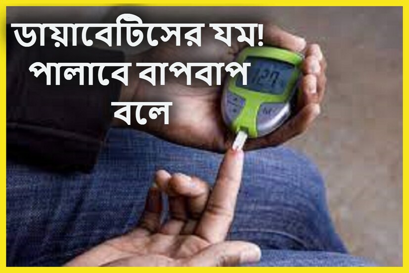 ডায়াবেটিস এমন এক রোগ যা কখনই কমেনা ৷ এটি নিয়ন্ত্রিত করা যায় ৷ প্রতিটি ভারতীয় শরীরে ডায়াবেটিস বাসা বাঁধে এর একটাই কারণ ৷ প্রতীকী ছবি ৷