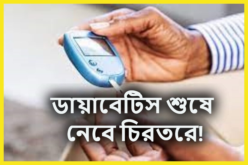 High Blood Sugar Control Tips: ডায়াবেটিস অত্যন্ত ভয়ঙ্কর একটি রোগ ৷ খুব তাড়াতাড়ি চারদিক থেকে ঘিরে ধরে ৷ দিনের পর দিন ডায়াবেসিটে আক্রান্তের সংখ্যা ক্রমেই বাড়তে চলেছে ৷ প্রতীকী ছবি ৷