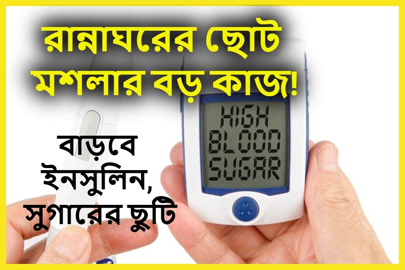 ভারতে প্রায় প্রতিটি পরিবারের মানুষেরা ব্লাডসুগারে আক্রান্ত । তবে ভারতে প্রতিনিয়তই বাড়ছে ডায়াবেটিসে আক্রান্তের সংখ্যা ৷ প্রতীকী ছবি ৷
