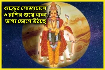 ধনদাতা শুক্রের সোজাচালে ৩ রাশির আচ্ছেদিন, আকাশের উচ্চতায় জাতক-জাতিকারা