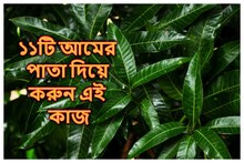 প্রতি শনিবার ১১টি আম্র পল্লব দিয়ে করুন এই কাজ, জীবনে সুখবরের বন্যা বয়ে যাবে