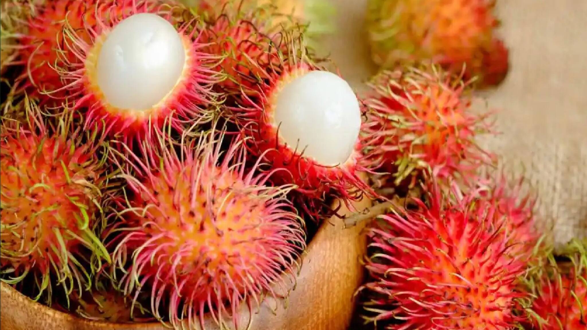 Fruit: অদ্ভুত দেখতে হলেও স্বাদে দারুণ! নজরকাড়া পুষ্টিগুণ, এই ফলের নাম জানেন?