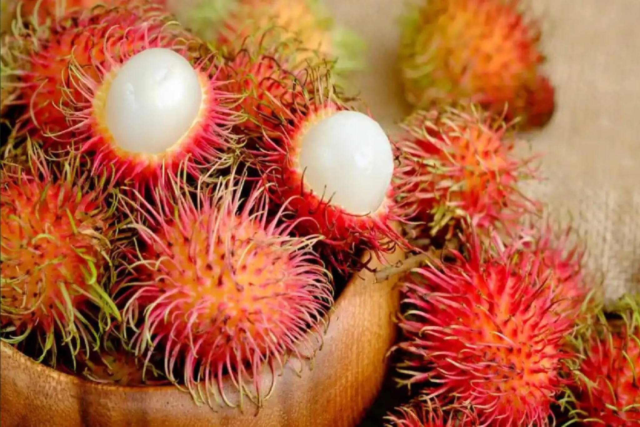 Fruit: অদ্ভুত দেখতে হলেও স্বাদে দারুণ! নজরকাড়া পুষ্টিগুণ, এই ফলের নাম জানেন?