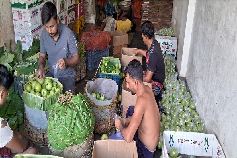 *বারুইপুরের পেয়ারার খ্যাতি রয়েছে। কিন্তু চাষের সমস্যা, চাষিদের সুবিধা-অসুবিধা নিয়ে কেউ কথা বলে না। ধান বা অন্য ফসলের ফলন বৃদ্ধি বা পোকার আক্রমণ থেকে ফসল বাঁচানোর পদ্ধতি নিয়ে সরকারি উদ্যোগে নিয়মিত কর্মশালা হয়।
