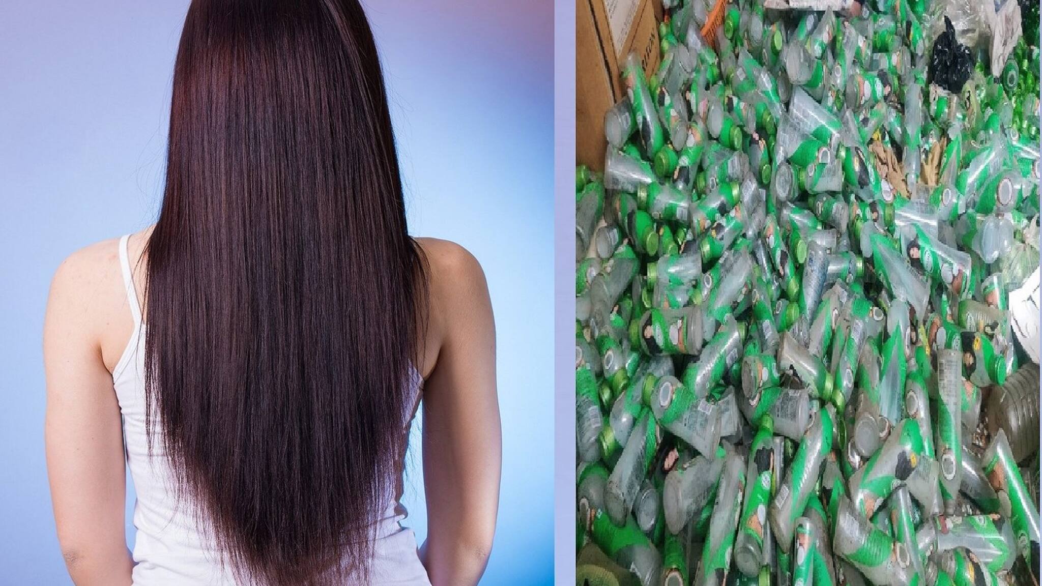 Hair Oil: চুল ভাল রাখতে নারকেল তেল লাগাচ্ছেন? সাবধান, আপনার তেল নকল নয় তো?