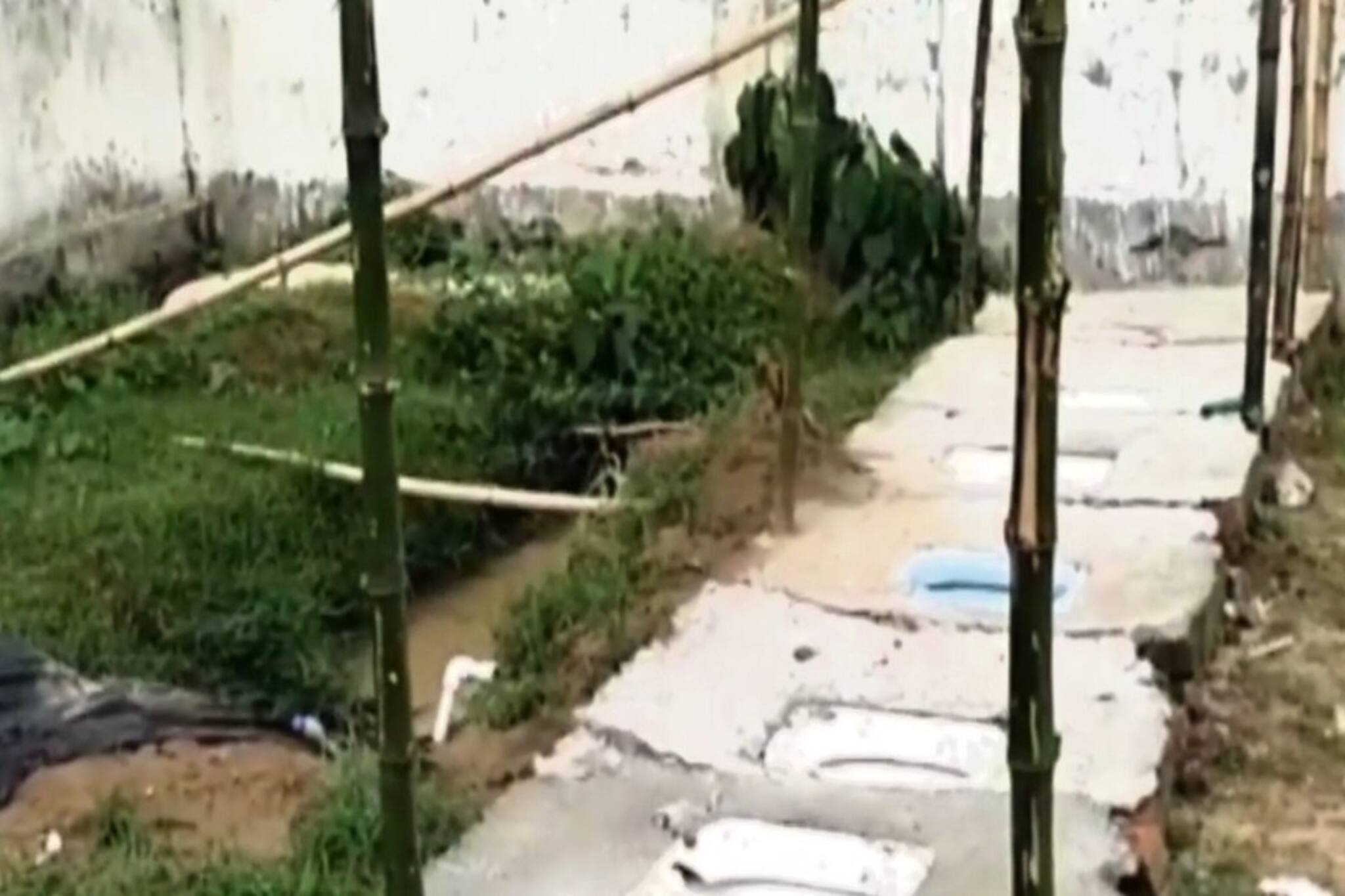 দুর্গন্ধে অতিষ্ট ক্ষুদে পড়ুয়ারা, এ কেমন হাল স্কুলগুলোর!