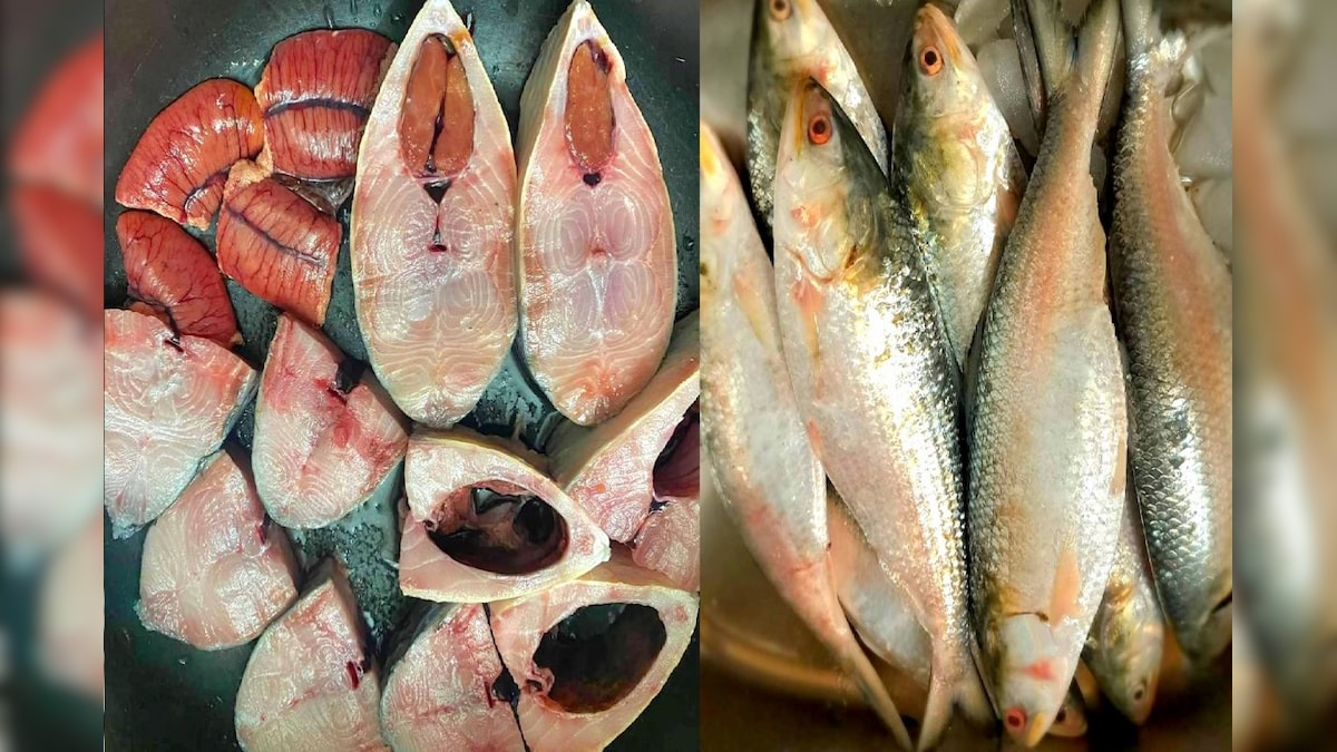 Ilish Fish | হিমোগ্লোবিন বাড়ে হুড়মুড়িয়ে, হার্ট ভাল রাখে, ইলিশের ...