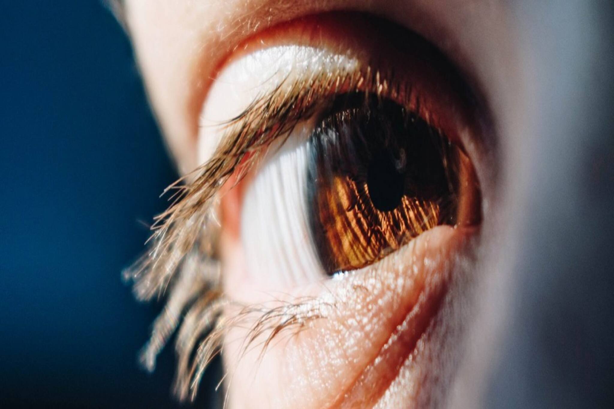 বুদ্ধিমান বা জিনিয়াসদের এই অভ্যেসগুলি থাকবেই, আপনারও কি আছে?