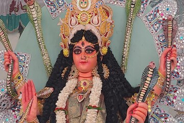 রুই কাতলা ইলিশের ভোগ!৫১৪ বছর ধরে চলে আসা রাজবাড়ির মনসা পুজোয় ভক্তের ঢল