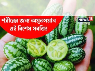 শরীরের জন্য অমৃতসমান এই বিশেষ সবজি! দাম মাত্র ১০ টাকা; ‘কাচরি’র নাম শুনেছেন?