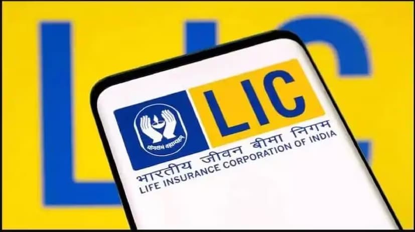 এই প্ল্যানে মেয়াদপূর্তিতে নির্দিষ্ট অর্থ প্রদান করা হয়। পাশাপাশি মেয়াদ চলাকালীন পলিসি হোল্ডারের দুর্ভাগ্যজনক মৃত্যু হলে পরিবারকে দেওয়া হয় আর্থিক সহায়তা।