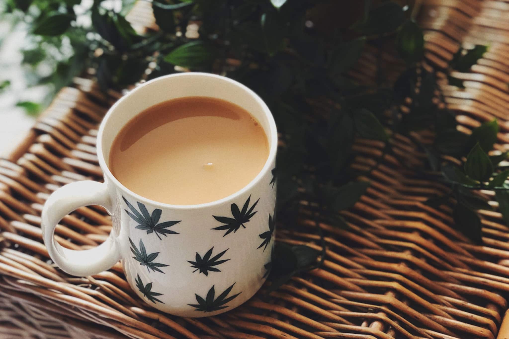 দুধ চা খাচ্ছেন? জানেন, অজান্তে ডেকে আনছেন শরীরের সর্বনাশ, দেখুন