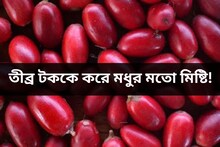 তীব্র টককে করে মধুর মতো মিষ্টি! ক্যানসার, ডায়াবেটিসের মতো রোগে উপকারী এই ফল