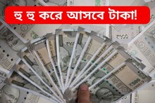 হু হু করে আসবে টাকা! অভাব কী ভুলে যাবেন, নিয়ম মেনে বাড়িতে লাগান শুধু এই একটি গাছ