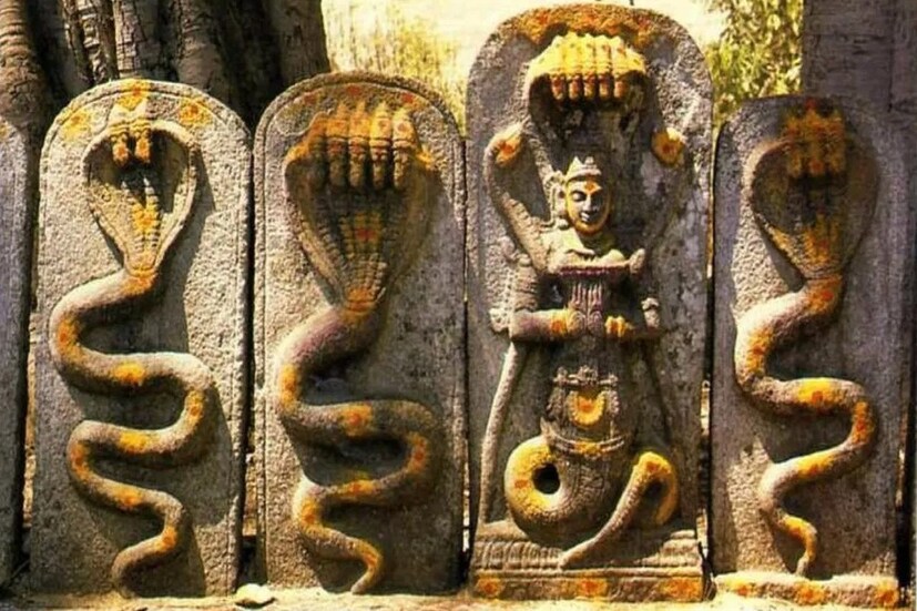 শ্রাবণ মাসের শুক্ল পঞ্চমী তিথিতে নাগ পঞ্চমী। পুরাণ মতে, নাগ লোক বা পাতাল থেকে সর্পকুল এদিন মর্তের মানুষকে আশীর্বাদ করেন। জীবনের সুখ-সমৃদ্ধি বৃদ্ধি, অভাব অনটন ঘোচাতে সাপেদের এই আশীর্বাদ অত্যন্ত পয়মন্ত বলে মনে করেন অনেকেই। (Disclaimer: এই প্রতিবেদনটি কেবলমাত্র সাধারণ তথ্যের জন্য, তাই বিস্তারিত জানতে হলে সর্বদা বিশেষজ্ঞের পরামর্শ নিন।)