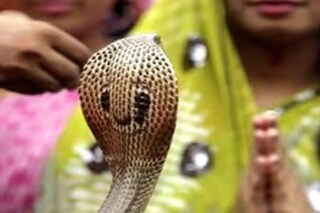 নাগপঞ্চমীর সঙ্গেই এবার বিশেষ তিথির যোগ! কীভাবে কাটাবেন কালসর্প দোষ, জেনে নিন