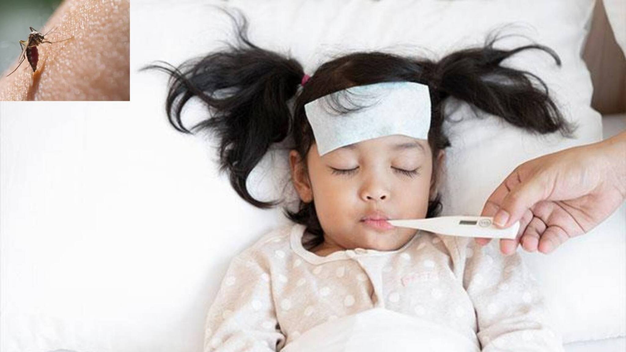 Dengue precautions for children: চোখ রাঙাচ্ছে ডেঙ্গি! এই সহজ উপায়ে নিরাপদে রাখুন আপনার বাচ্চাকে