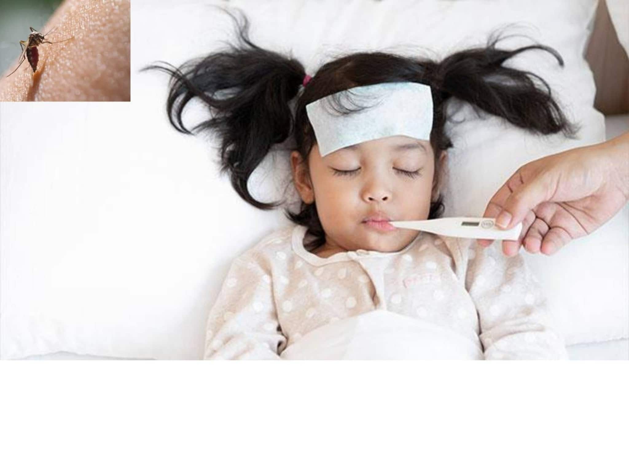 Dengue precautions for children: চোখ রাঙাচ্ছে ডেঙ্গি! এই সহজ উপায়ে নিরাপদে রাখুন আপনার বাচ্চাকে