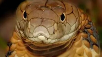 প্রতীকী ছবি প্রতীকী ছবি