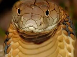 প্রতীকী ছবি