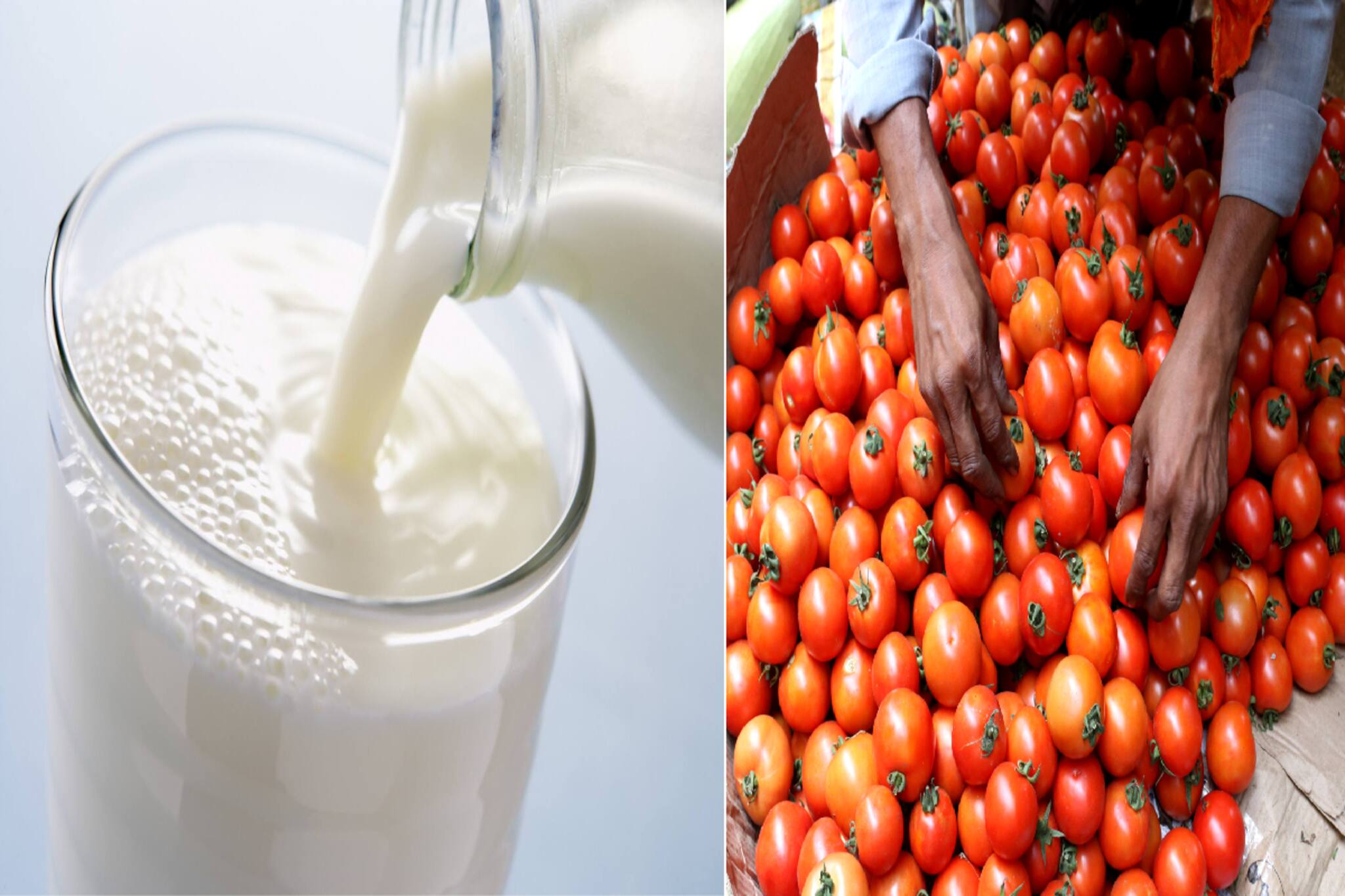 Milk Price: দাম কমছে দুধের! কিন্তু টমেটো ছাড়িয়ে যেতে পারে ৩০০, কী বলছে কেন্দ্র?