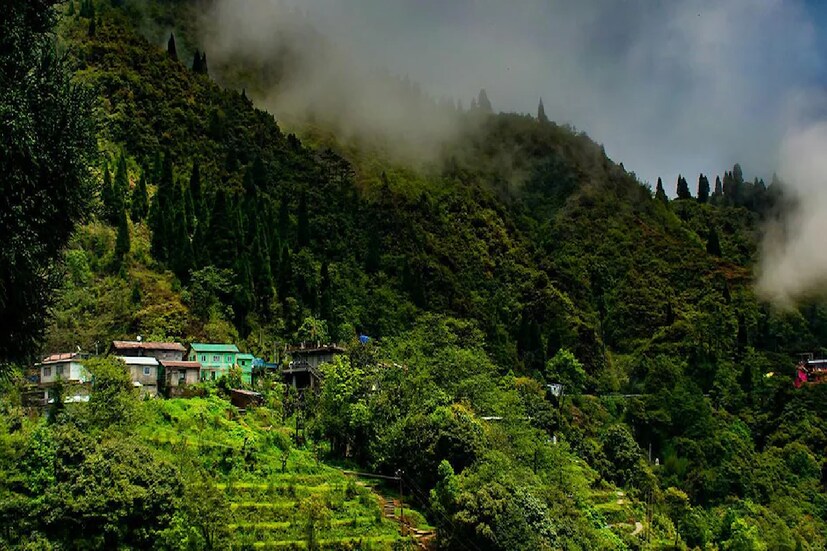 বৃহস্পতিবার ২৪ আগস্ট অতিভারী বৃষ্টির কমলা সতর্কতা রয়েছে দার্জিলিং, কালিম্পং, আলিপুরদুয়ার, কোচবিহার, জলপাইগুড়ি জেলায়। প্রবল বৃষ্টি হতে পারে আলিপুরদুয়ার, কোচবিহার, জলপাইগুড়ি জেলায়। ভারী বৃষ্টির সতর্কতা, মালদহ, উত্তর ও দক্ষিণ দিনাজপুর জেলায়।