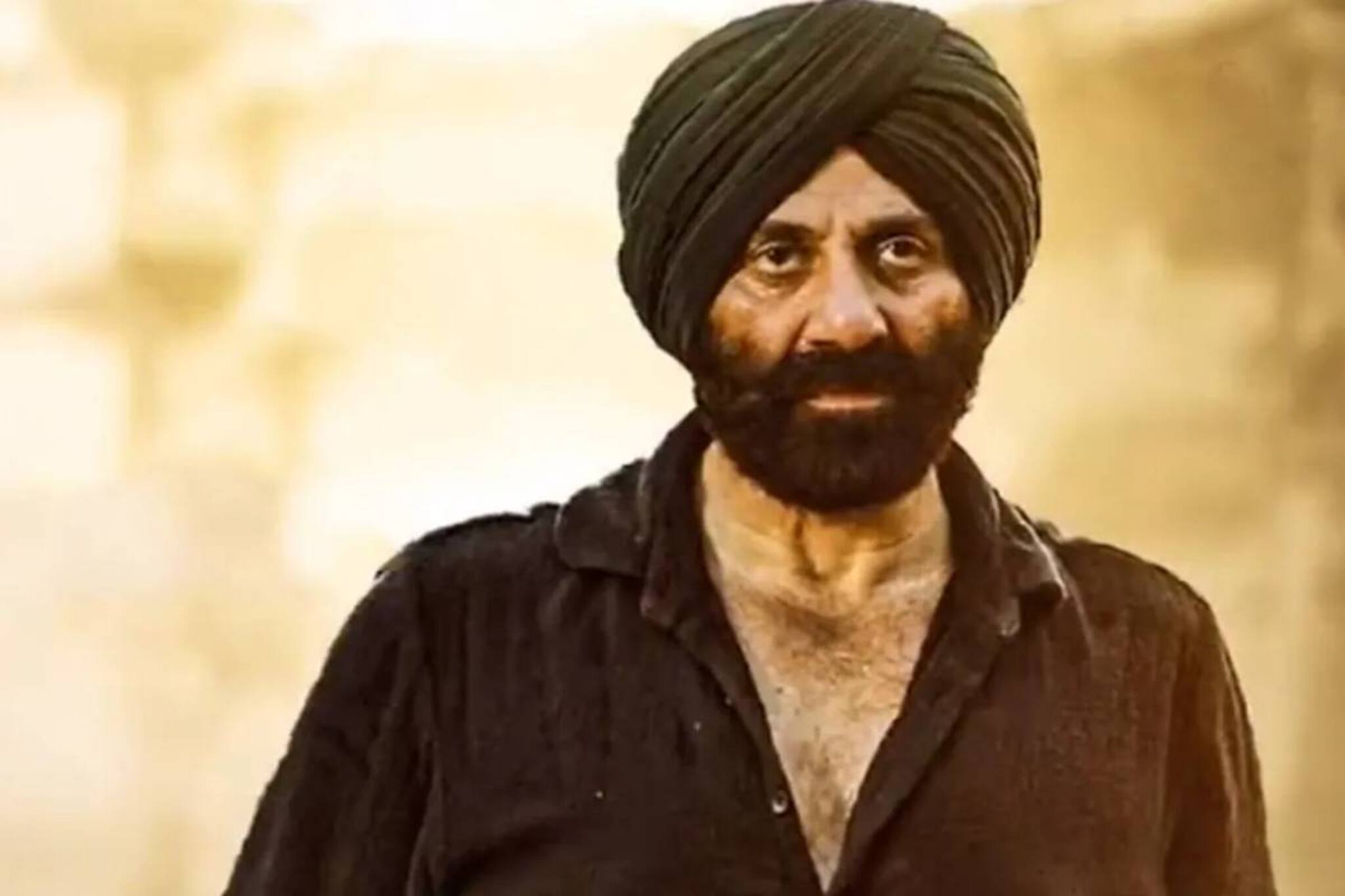 ৫০০ কোটির পথে 'গদর ২'! তবু 'দেউলিয়া' হয়ে যাওয়ার চিন্তায় বড় সিদ্ধান্ত সানির