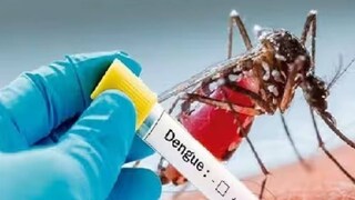 ডেঙ্গি প্রতিরোধে স্কুলে নোটিস পুরসভার