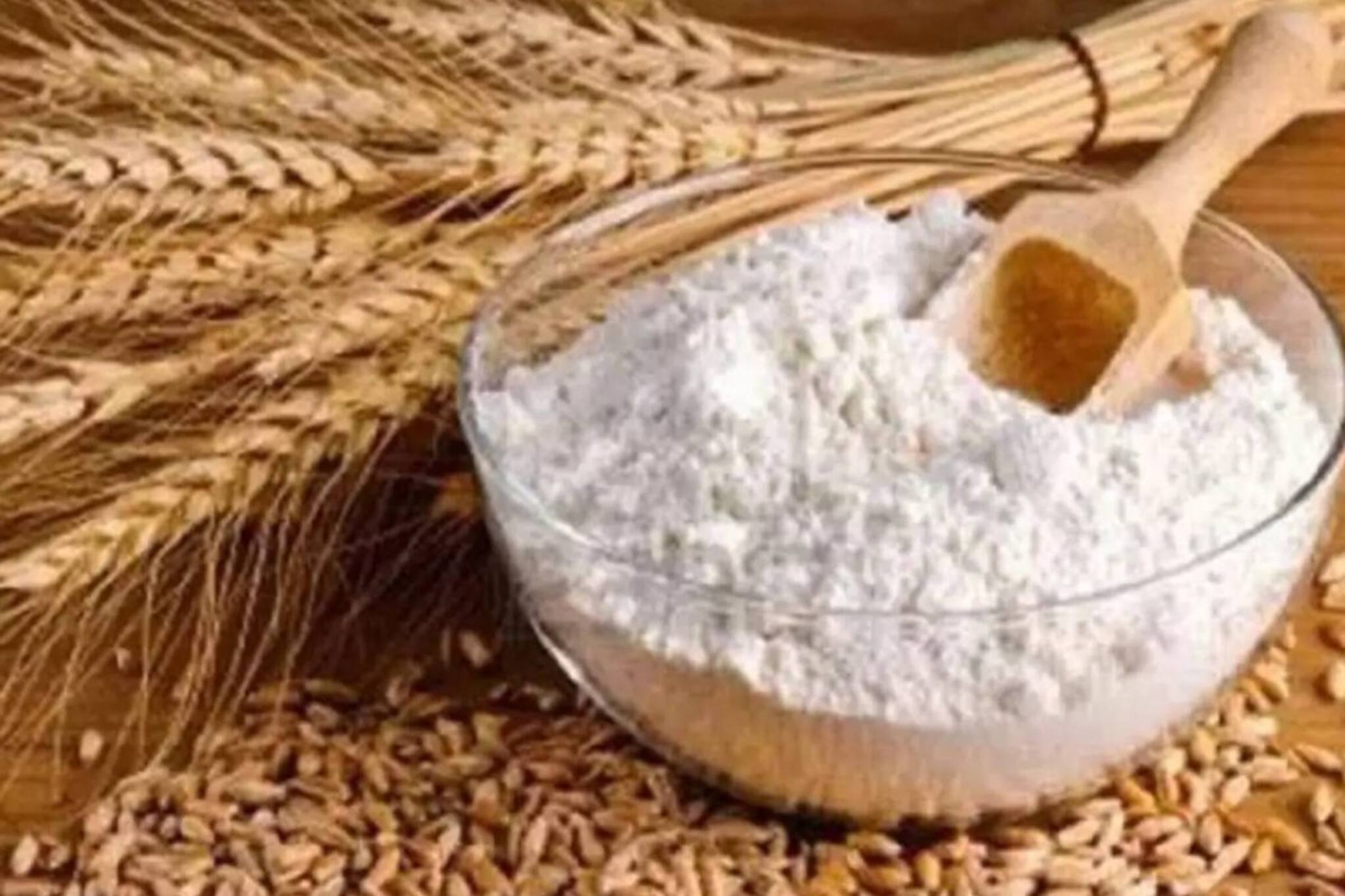 ‘সাদা বিষ’! জানুন ময়দা আপনার শরীরের জন্য কত ক্ষতিকারক