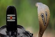 আজ নাগ পঞ্চমী এবং সাওয়ন সোমবার! জানুন এই পবিত্র দিনে কী করবেন, কী করবেন না
