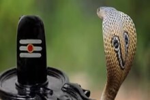 আজ নাগ পঞ্চমী এবং সাওয়ন সোমবার! জানুন এই পবিত্র দিনে কী করবেন, কী করবেন না
